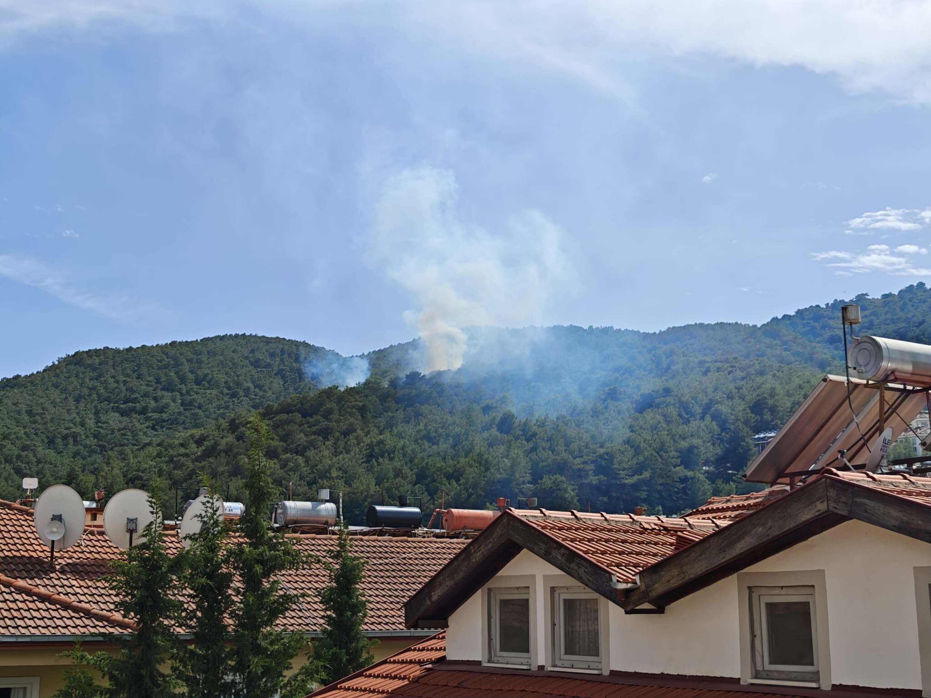 Muğla'da orman yangını